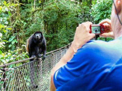 monkey watching tourists mistico costa rica