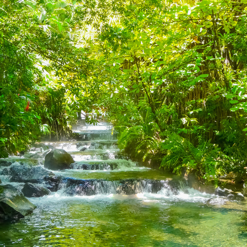 Hot Springs River La Fortuna Costa Rica 