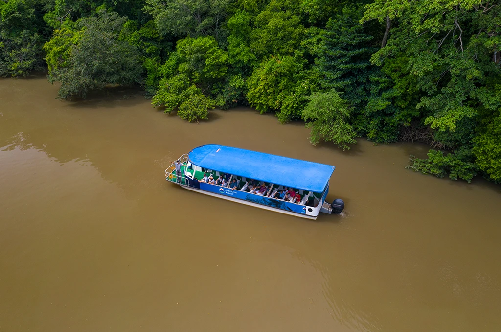Bebedero Blue Pass Palo Verde Boat