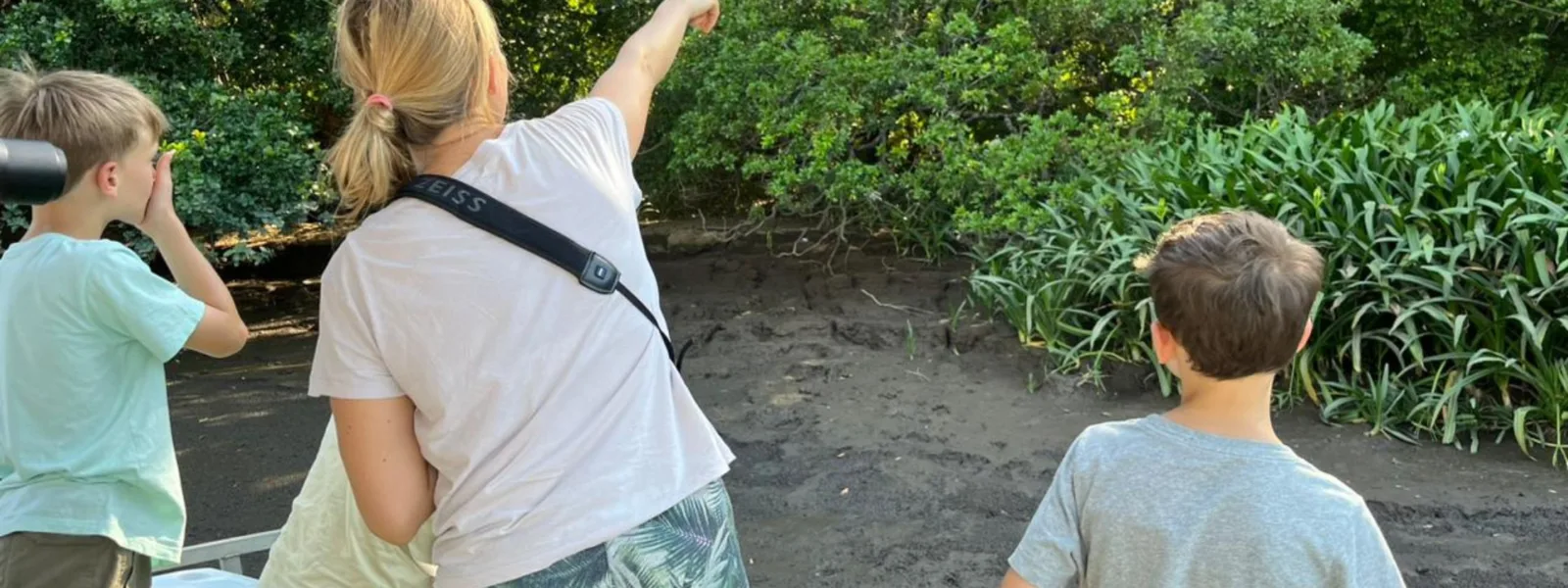 Blog Banner Blue Pass 1