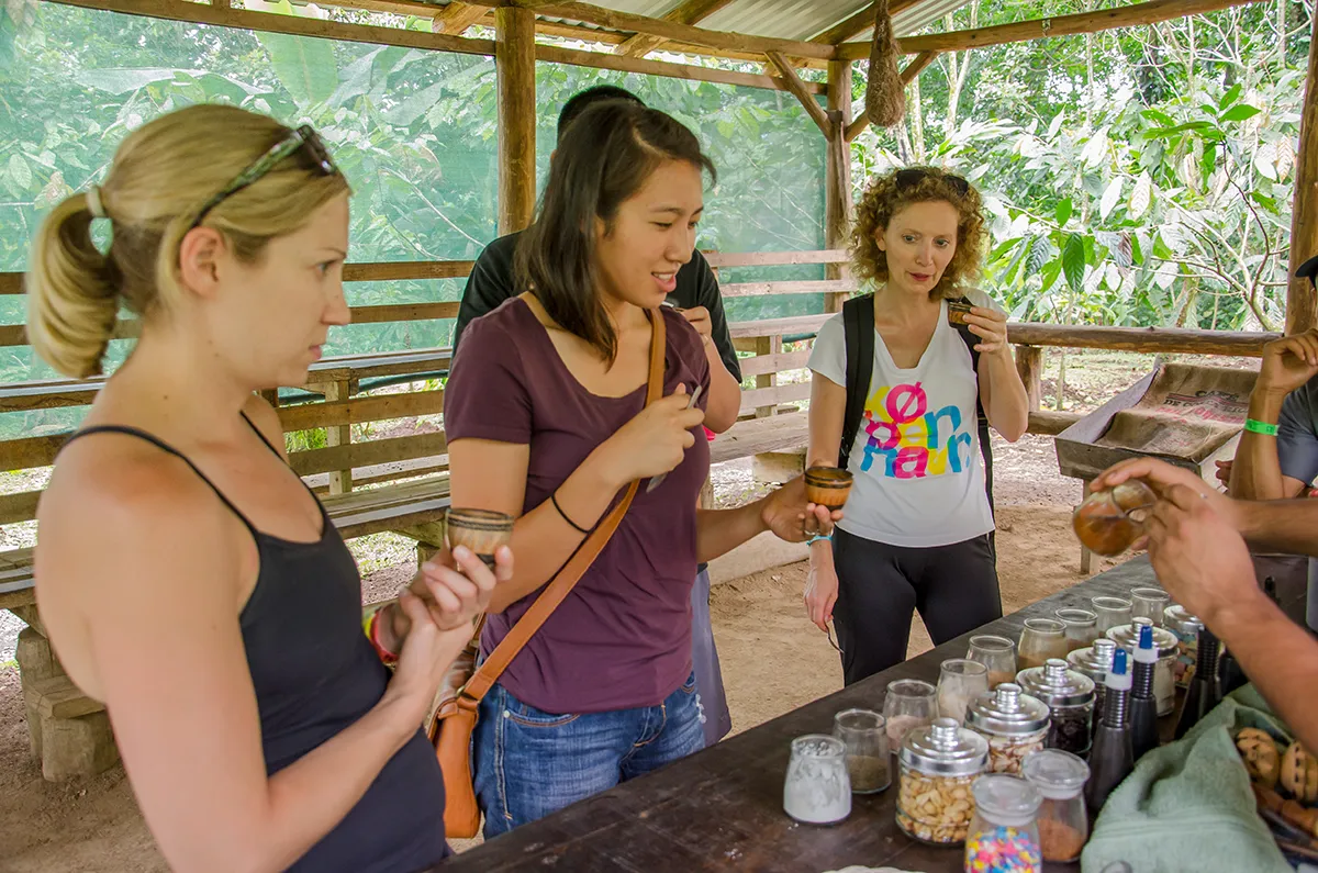 chocolatetour2 Rainforest BluePass