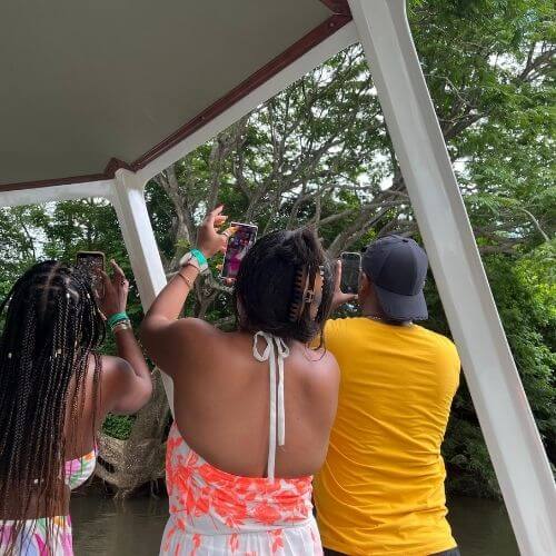 palo verde boat safari