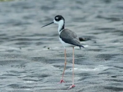 sustainable tourism costa rica