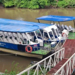 tempisque river tour