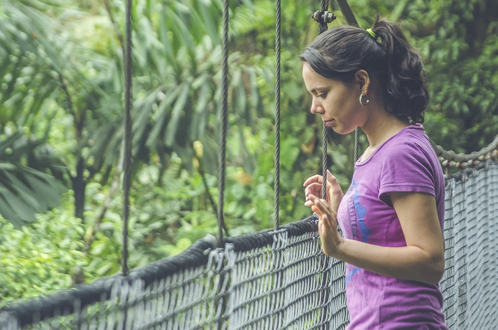 Hanging Bridges Blue Pass Puentes
