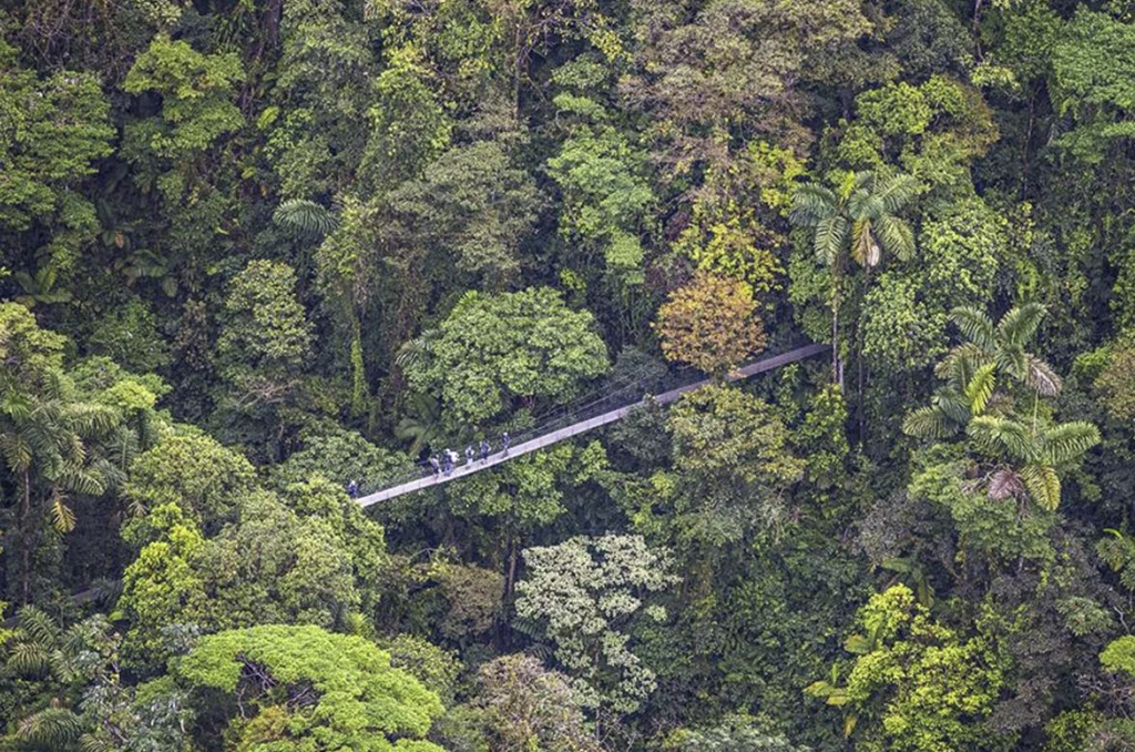 Hanging Bridges Blue Pass Puentes2