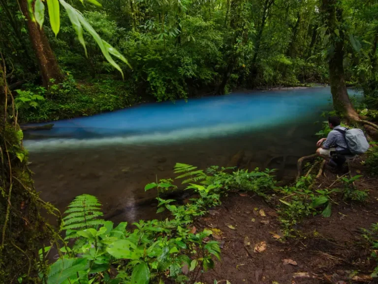 The meeting point of two rivers at Tenideros, creating the bright turquoise color of Rio Celeste in Costa Rica