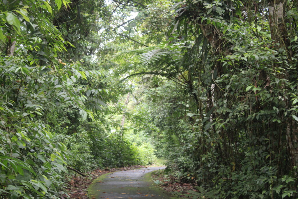 Peninsula Trail - Arenal National Park
